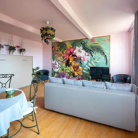 Le Cocon Floral - - Hypercentre * Lisle-sur-Tarn