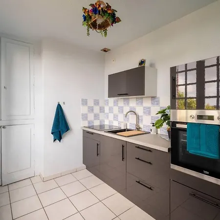 Le Cocon Floral - - Hypercentre Lisle-sur-Tarn