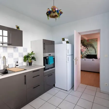 Le Cocon Floral - - Hypercentre Apartamento Lisle-sur-Tarn